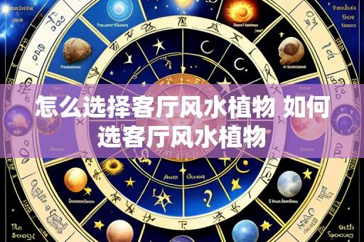 怎么选择客厅风水植物 如何选客厅风水植物