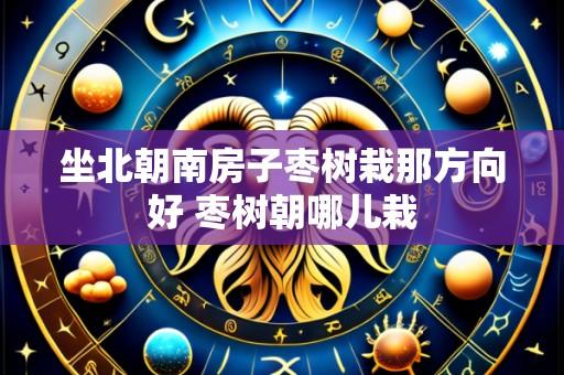 坐北朝南房子枣树栽那方向好 枣树朝哪儿栽