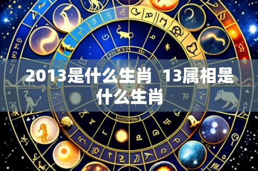 2013是什么生肖  13属相是什么生肖