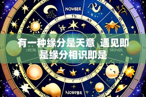 有一种缘分是天意 遇见即是缘分相识即是