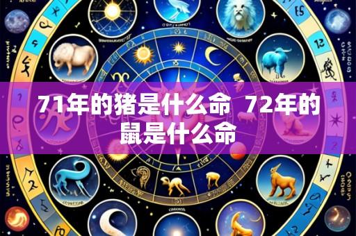 71年的猪是什么命 72年的鼠是什么命