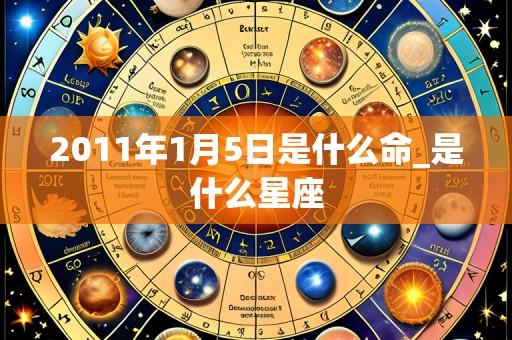 2011年1月5日是什么命_是什么星座