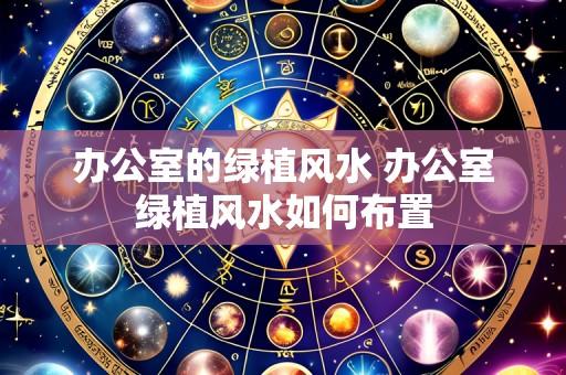 办公室的绿植风水 办公室绿植风水如何布置