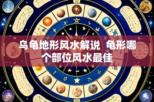 乌龟地形风水解说  龟形哪个部位风水最佳