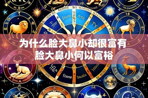为什么脸大鼻小却很富有 脸大鼻小何以富裕