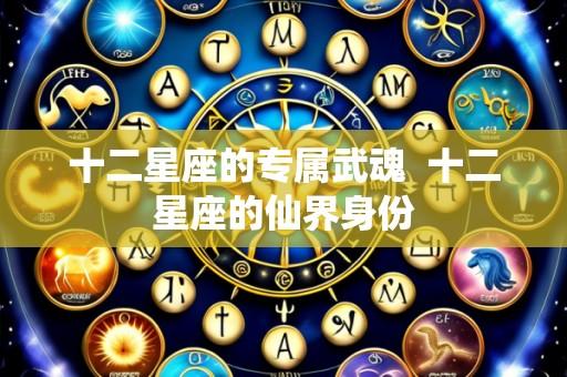十二星座的专属武魂 十二星座的仙界身份