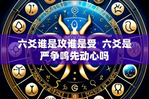 六爻谁是攻谁是受  六爻是严争鸣先动心吗