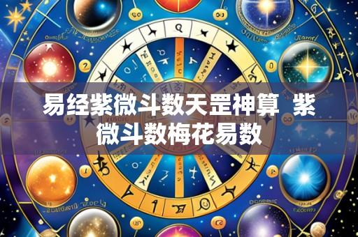 易经紫微斗数天罡神算  紫微斗数梅花易数