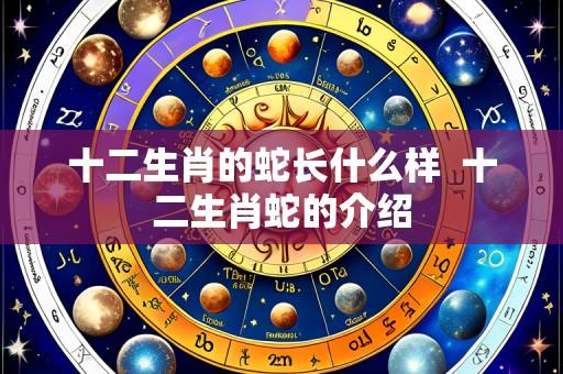 十二生肖的蛇长什么样 十二生肖蛇的介绍