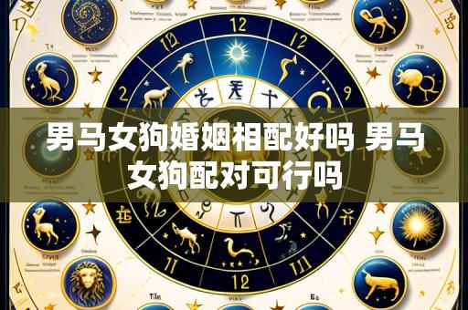 男马女狗婚姻相配好吗 男马女狗配对可行吗