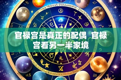 官禄宫是真正的配偶 官禄宫看另一半家境