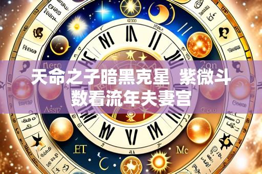 天命之子暗黑克星 紫微斗数看流年夫妻宫
