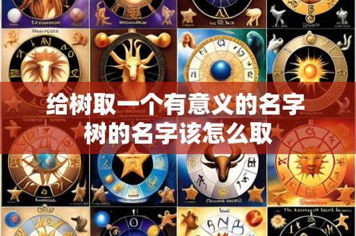 给树取一个有意义的名字 树的名字该怎么取