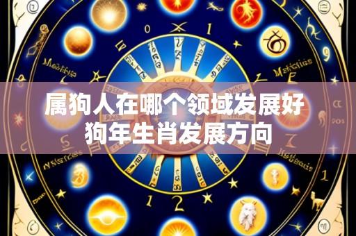 属狗人在哪个领域发展好 狗年生肖发展方向