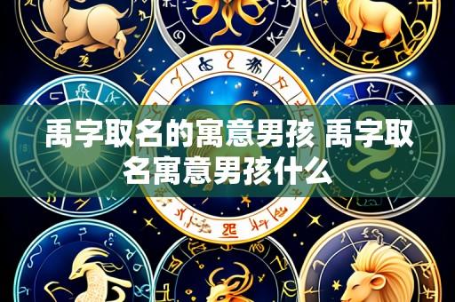 禹字取名的寓意男孩 禹字取名寓意男孩什么