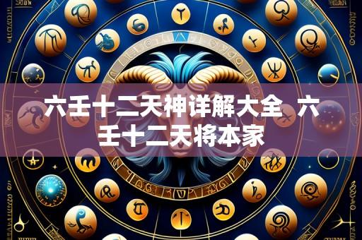 六壬十二天神详解大全  六壬十二天将本家