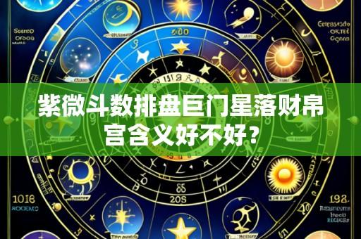 紫微斗数排盘巨门星落财帛宫含义好不好？