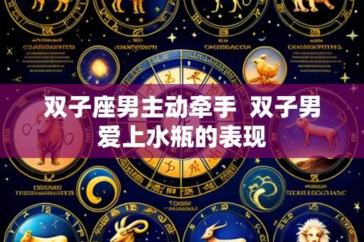 双子座男主动牵手  双子男爱上水瓶的表现