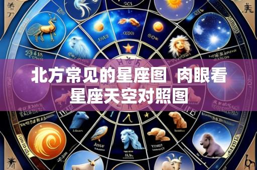 北方常见的星座图 肉眼看星座天空对照图