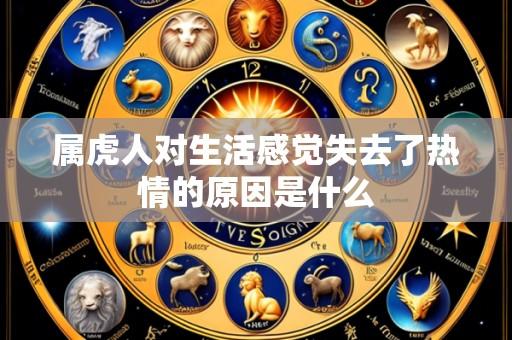 属虎人对生活感觉失去了热情的原因是什么