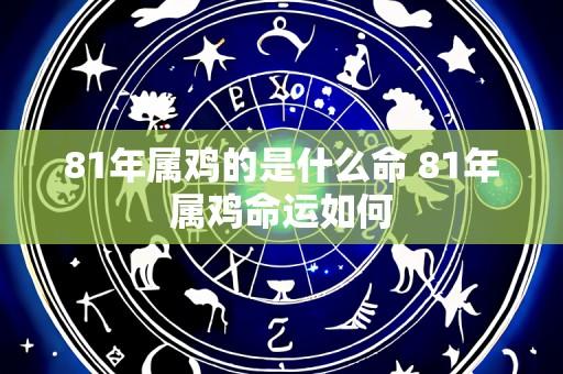 81年属鸡的是什么命 81年属鸡命运如何