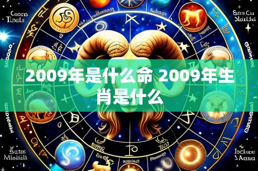 2009年是什么命 2009年生肖是什么