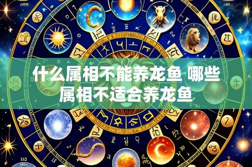 什么属相不能养龙鱼 哪些属相不适合养龙鱼
