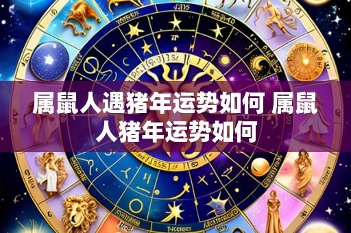 属鼠人遇猪年运势如何 属鼠人猪年运势如何