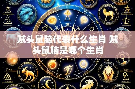 贼头鼠脑代表什么生肖 贼头鼠脑是哪个生肖