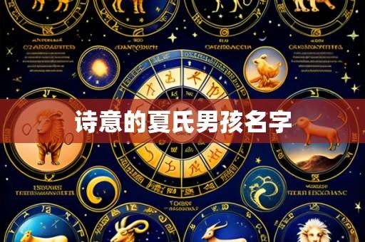 诗意的夏氏男孩名字