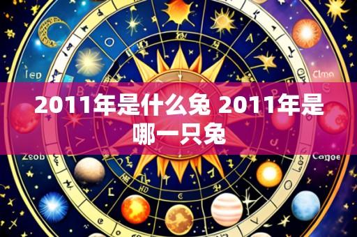 2011年是什么兔 2011年是哪一只兔