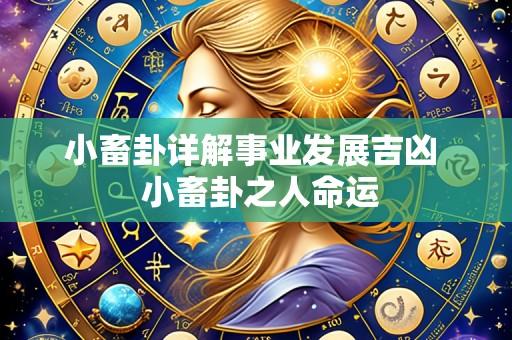 小畜卦详解事业发展吉凶  小畜卦之人命运