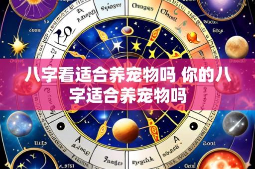 八字看适合养宠物吗 你的八字适合养宠物吗