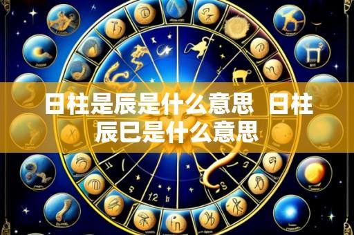 日柱是辰是什么意思 日柱辰巳是什么意思