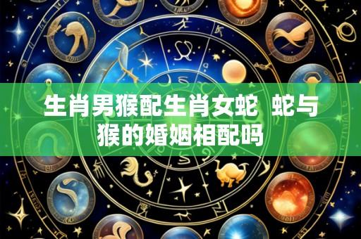 生肖男猴配生肖女蛇  蛇与猴的婚姻相配吗