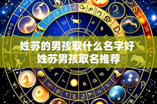 姓苏的男孩取什么名字好 姓苏男孩取名推荐