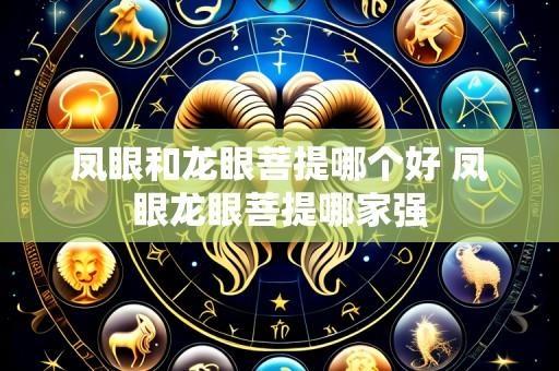 凤眼和龙眼菩提哪个好 凤眼龙眼菩提哪家强