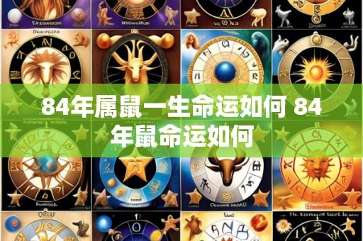 84年属鼠一生命运如何 84年鼠命运如何