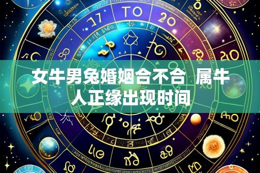 女牛男兔婚姻合不合 属牛人正缘出现时间
