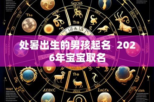 处暑出生的男孩起名 2026年宝宝取名