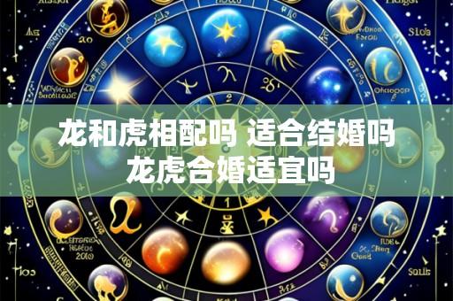 龙和虎相配吗 适合结婚吗 龙虎合婚适宜吗