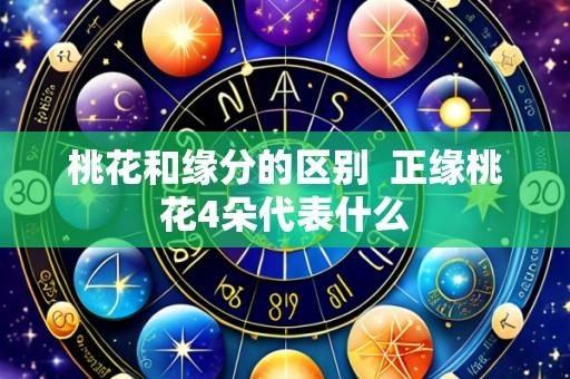 桃花和缘分的区别 正缘桃花4朵代表什么