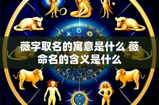 薇字取名的寓意是什么 薇命名的含义是什么