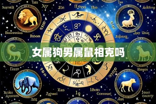 女属狗男属鼠相克吗