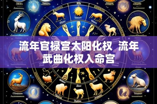 流年官禄宫太阳化权  流年武曲化权入命宫