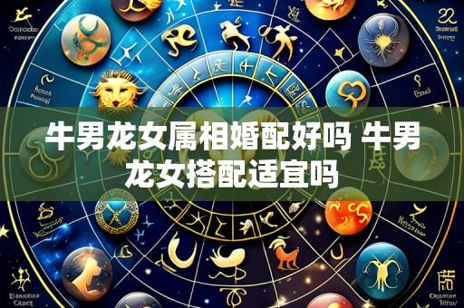 牛男龙女属相婚配好吗 牛男龙女搭配适宜吗