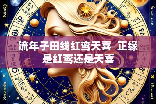 流年子田线红鸾天喜  正缘是红鸾还是天喜