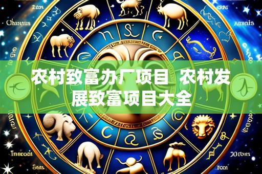 农村致富办厂项目  农村发展致富项目大全