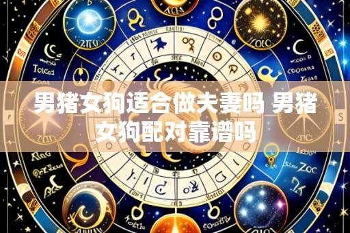 男猪女狗适合做夫妻吗 男猪女狗配对靠谱吗