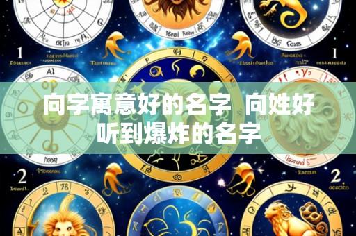 向字寓意好的名字 向姓好听到爆炸的名字